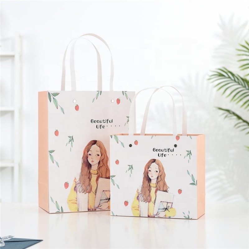 Custom paper shopping bag for gift