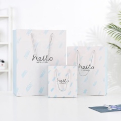 Multiple size hard paper gift bag packaging custom with rope