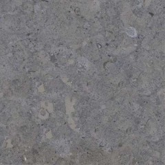 Portugal Grey marble